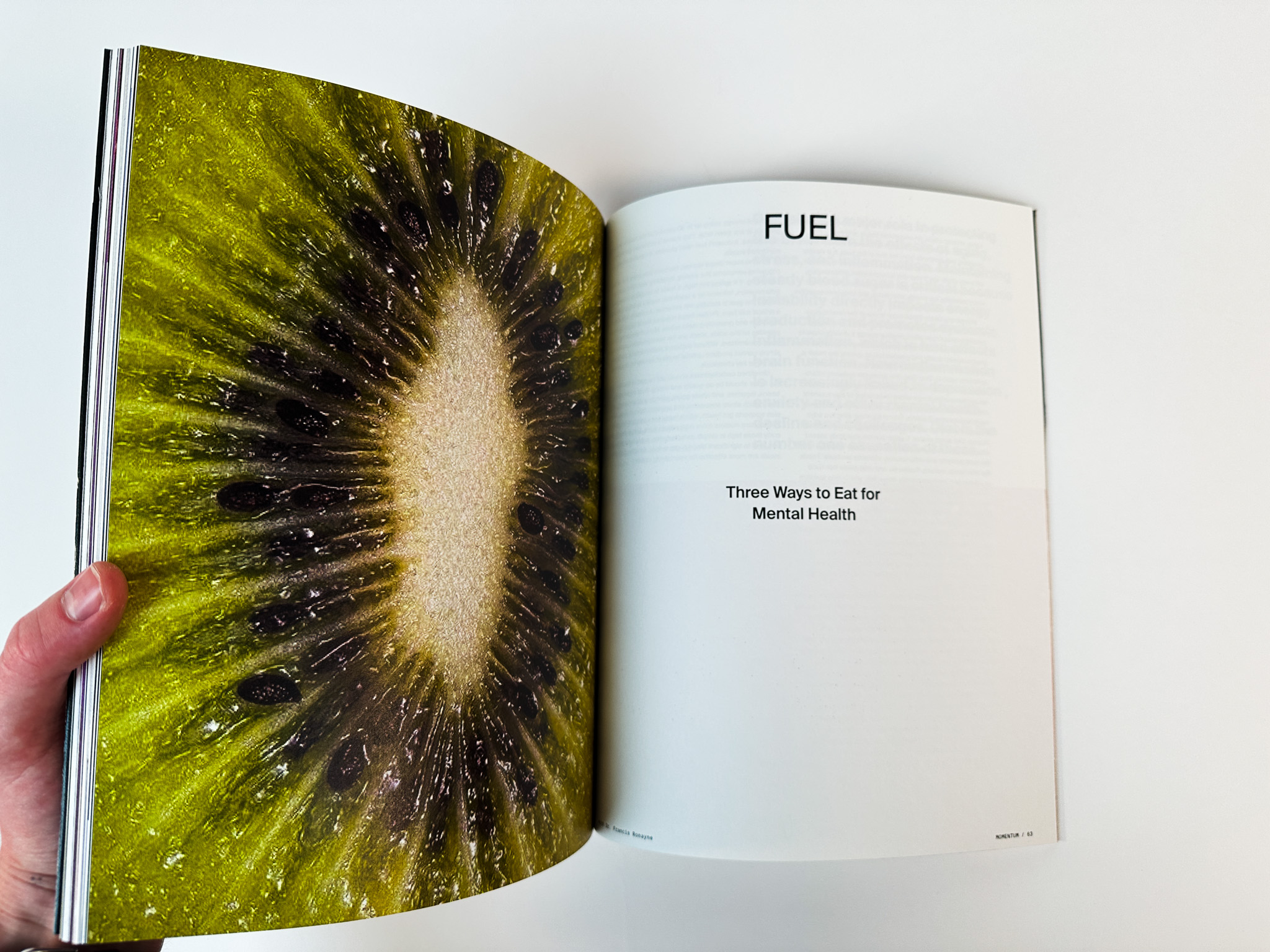 Printed Magazine 33