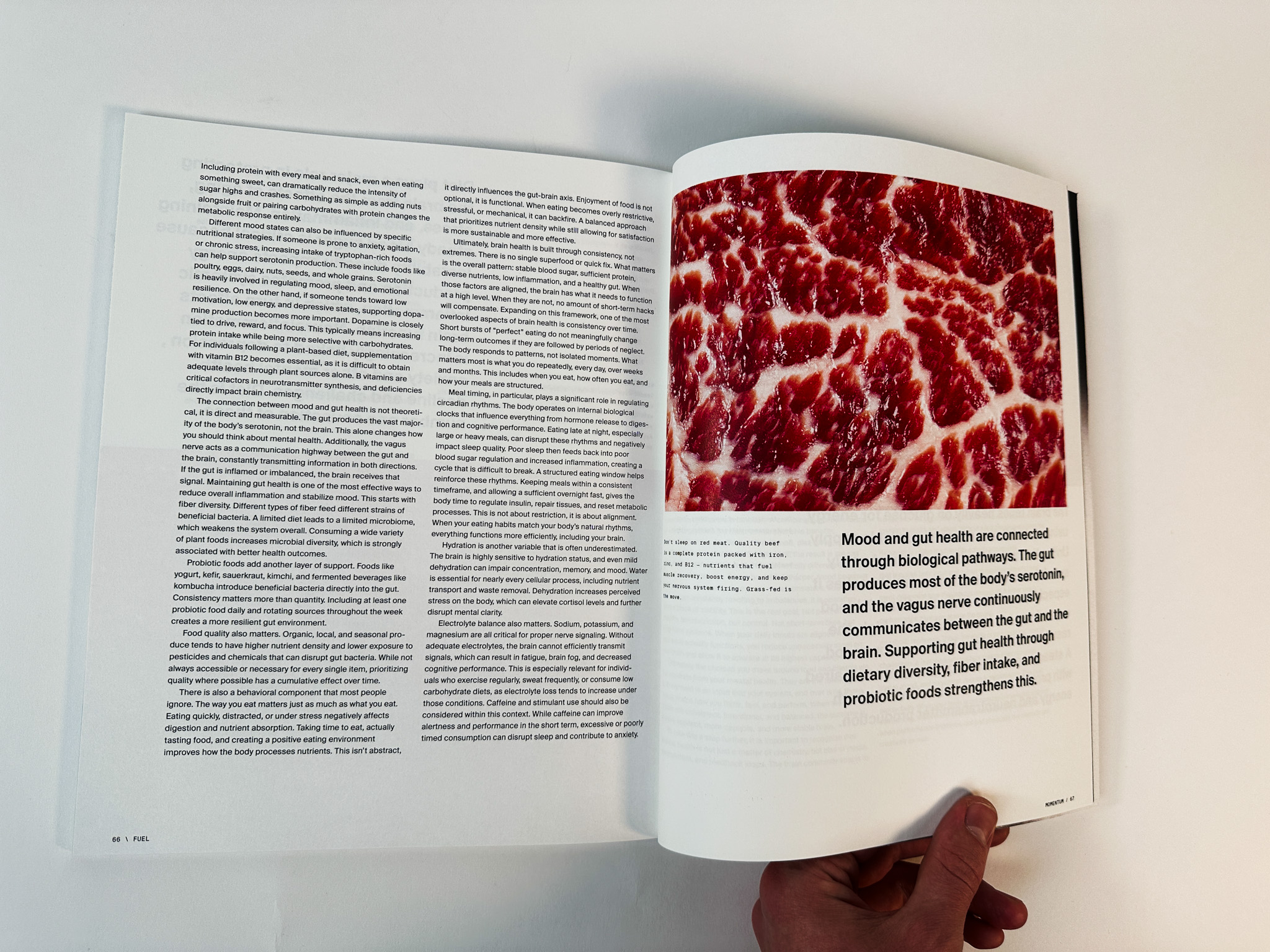 Printed Magazine 35