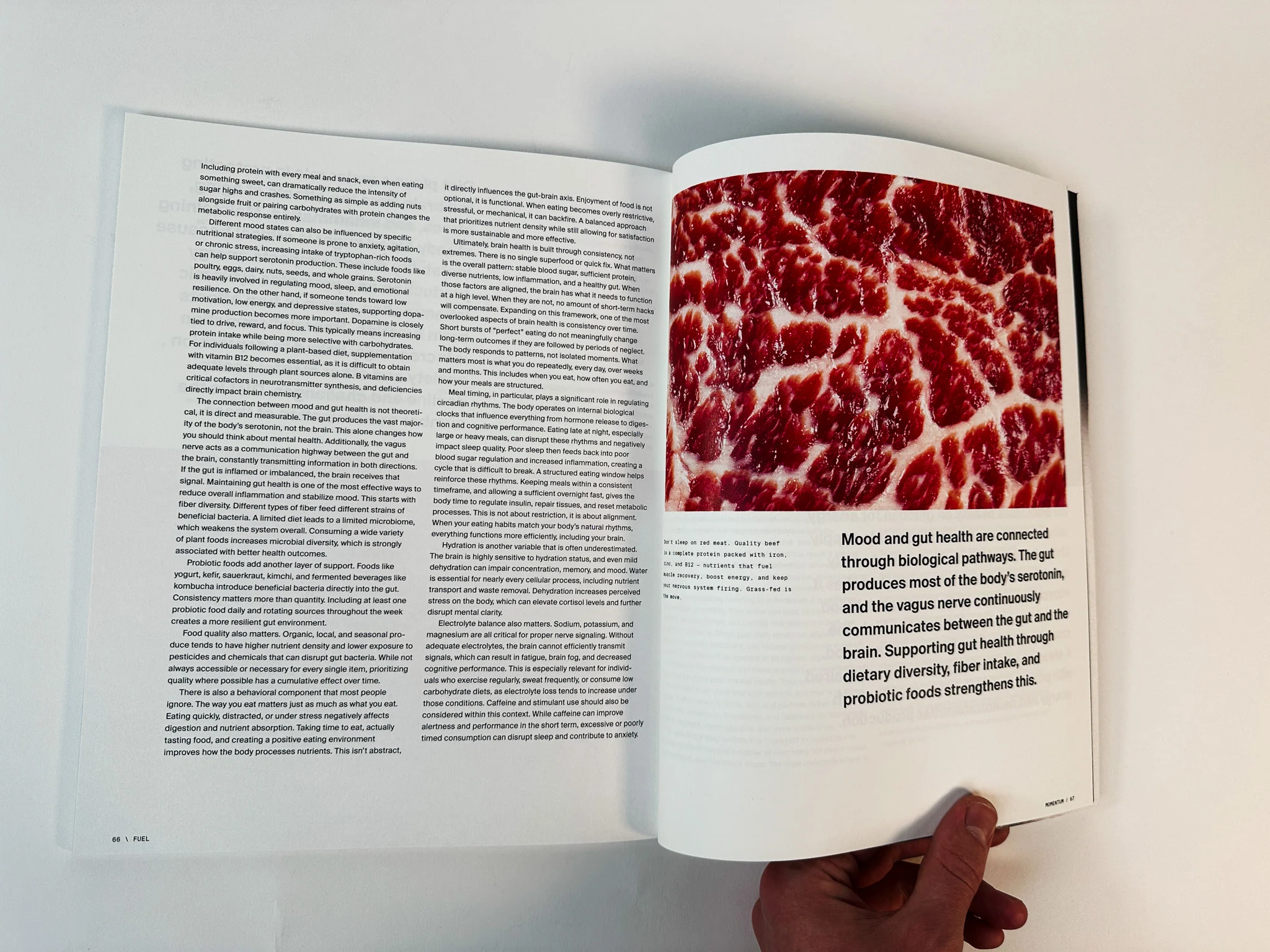 Printed Magazine 35