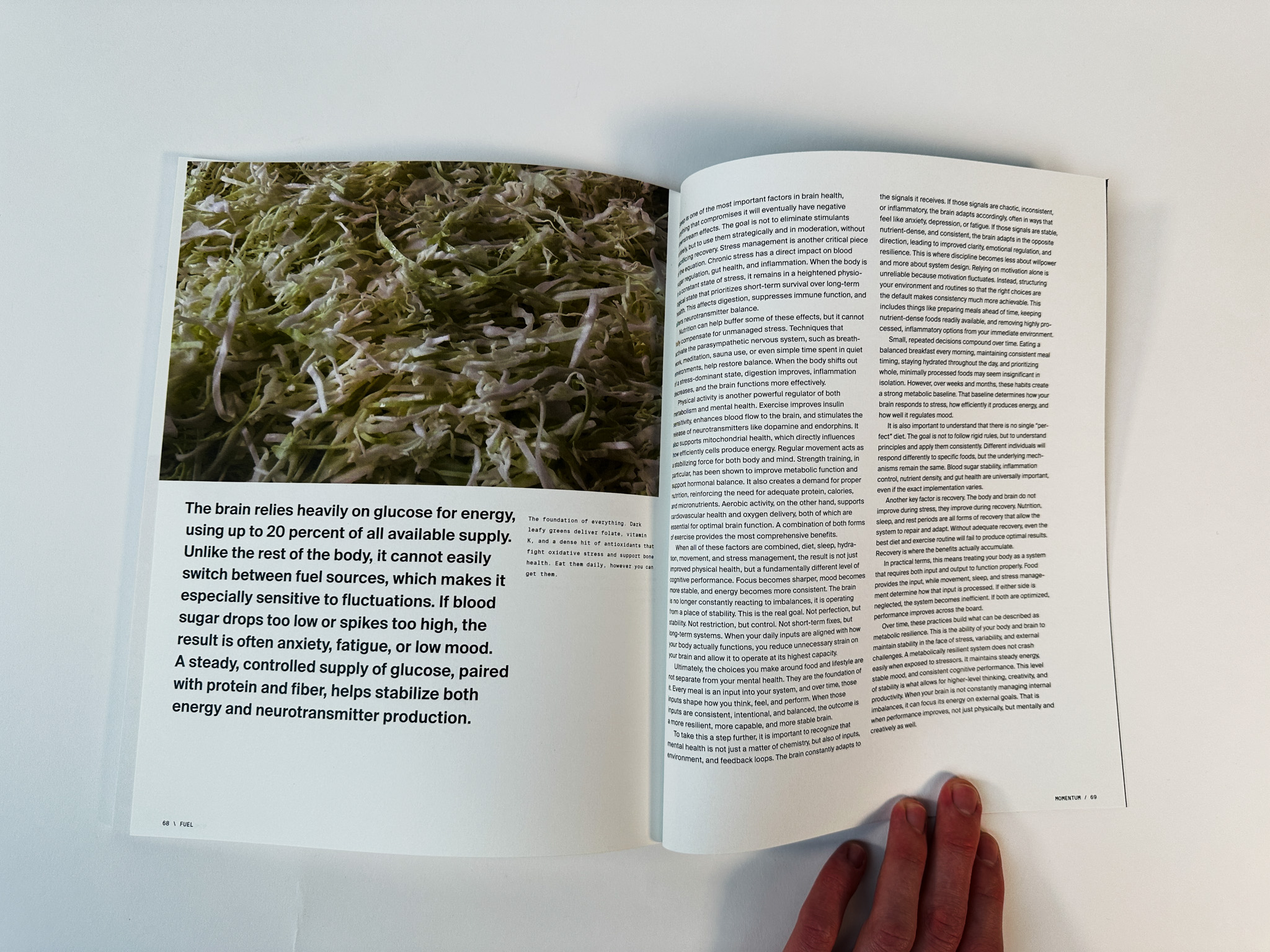 Printed Magazine 36
