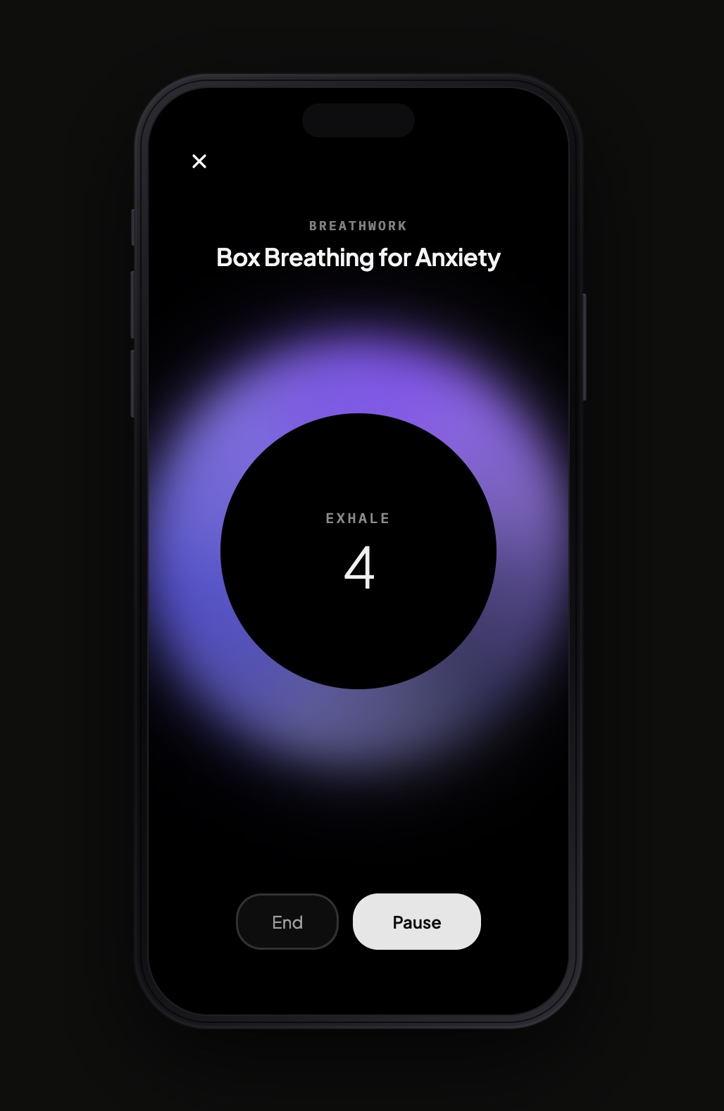 Synergy Sessions 2