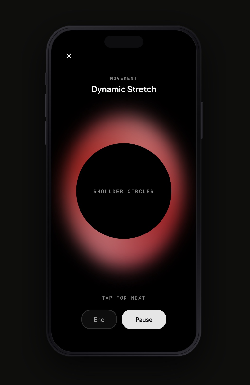 Synergy Sessions 4